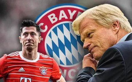 鹈鹕队依靠 鹈鹕队依靠